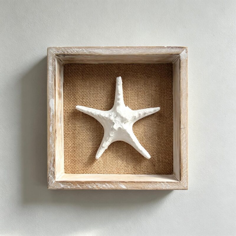 Coastal Starfish Shadow Box Wall Decor - Coastal (Summer)...