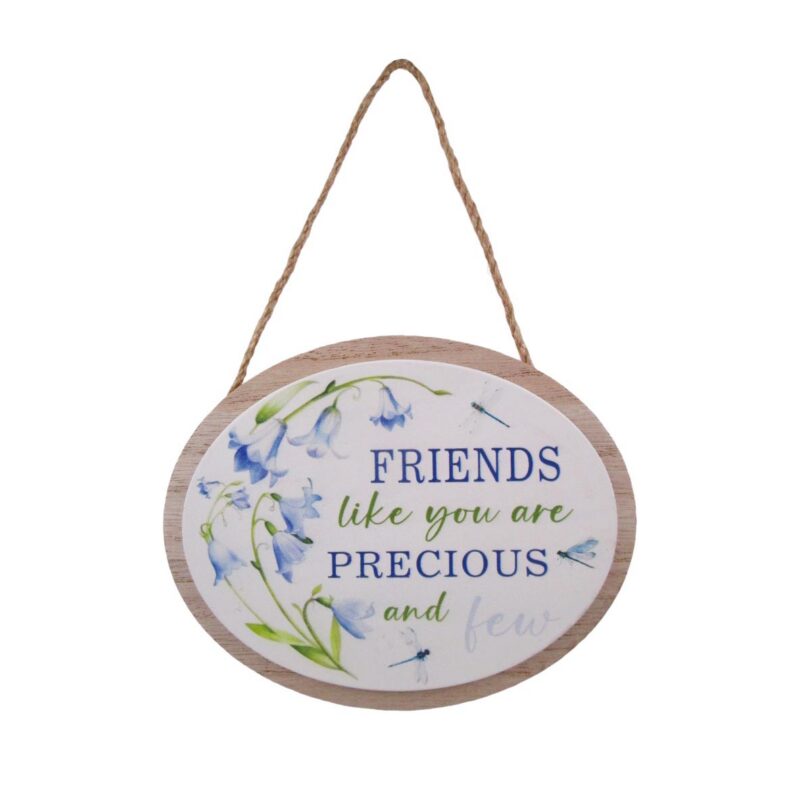 Wooden Hanging Plaque - Love & Friendship - lr.zacpzw.com