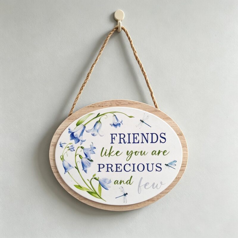 Wooden Hanging Plaque - Love & Friendship - lr.zacpzw.com