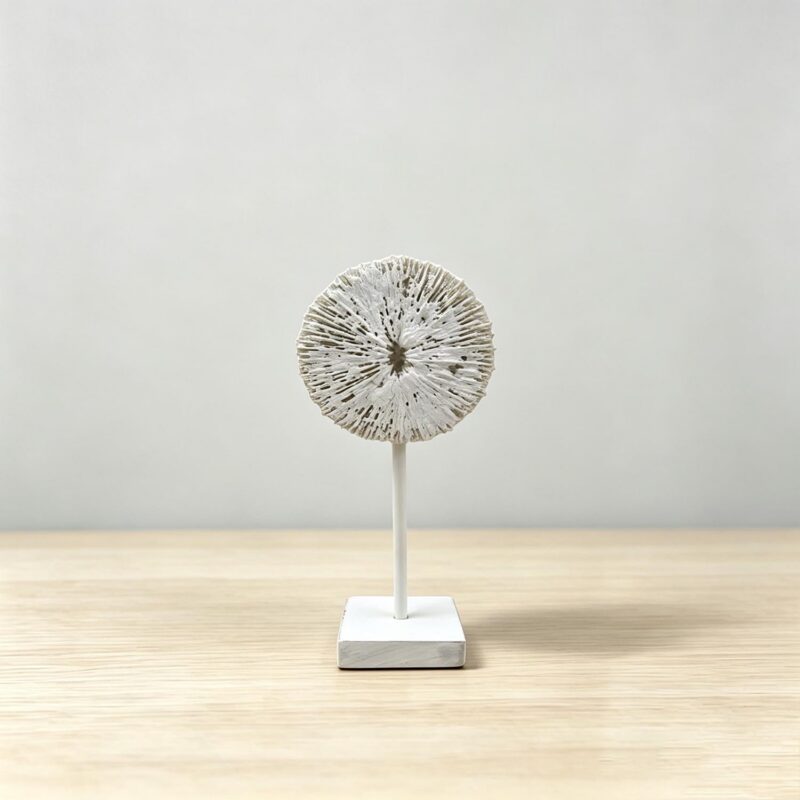 Wooden Decor - Coastal (Summer) - lr.zacpzw.com
