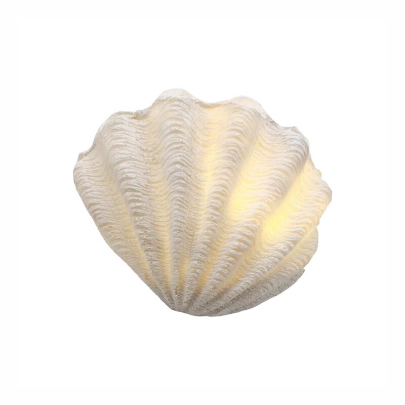 Shell-Shaped White Lamp - Coastal (Summer) - lr.zacpzw.com