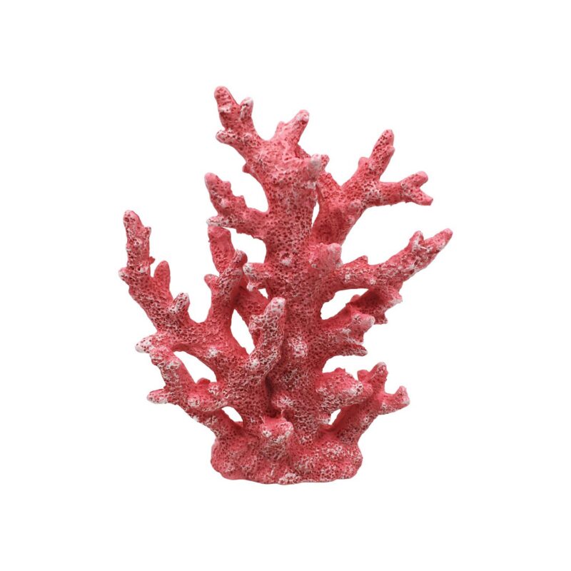 Coral Decor - Coastal (Summer) - lr.zacpzw.com