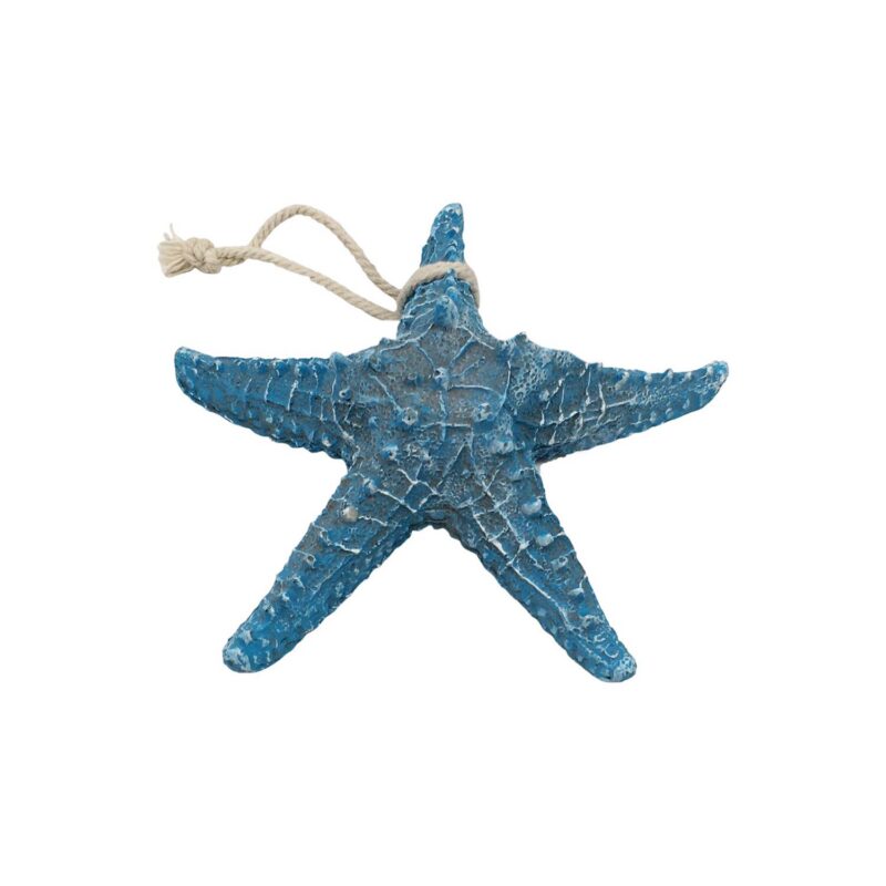 Starfish Decor - Coastal (Summer) - lr.zacpzw.com