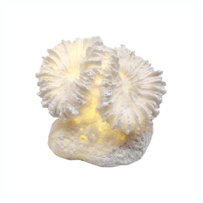 Resin Decor - Coastal (Summer) - lr.zacpzw.com