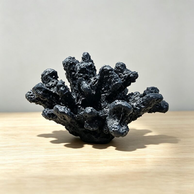 Resin Decor - Coastal (Summer) - lr.zacpzw.com