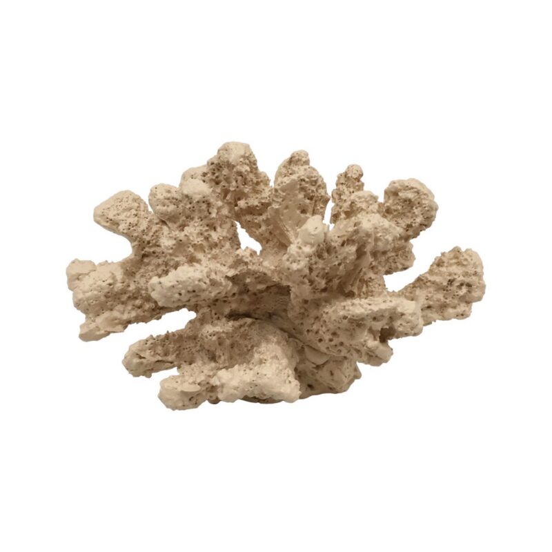Resin Decor - Coastal (Summer) - lr.zacpzw.com