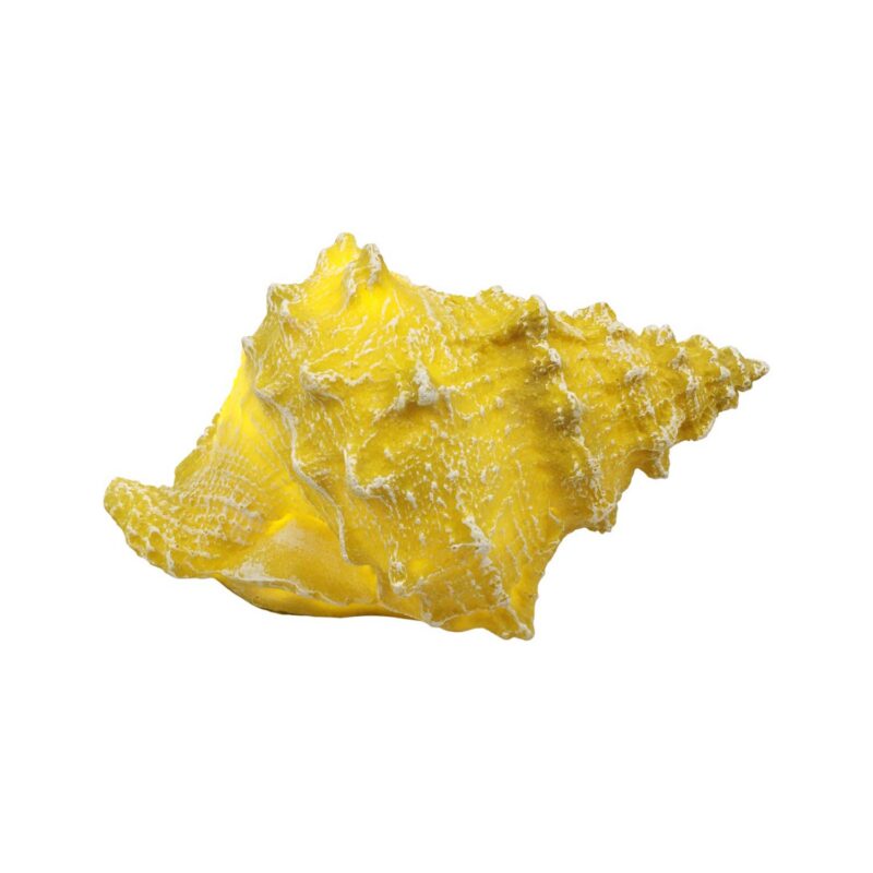 Resin Decor - Coastal (Summer) - lr.zacpzw.com