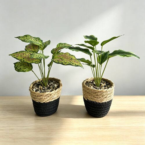 Artificial Plants