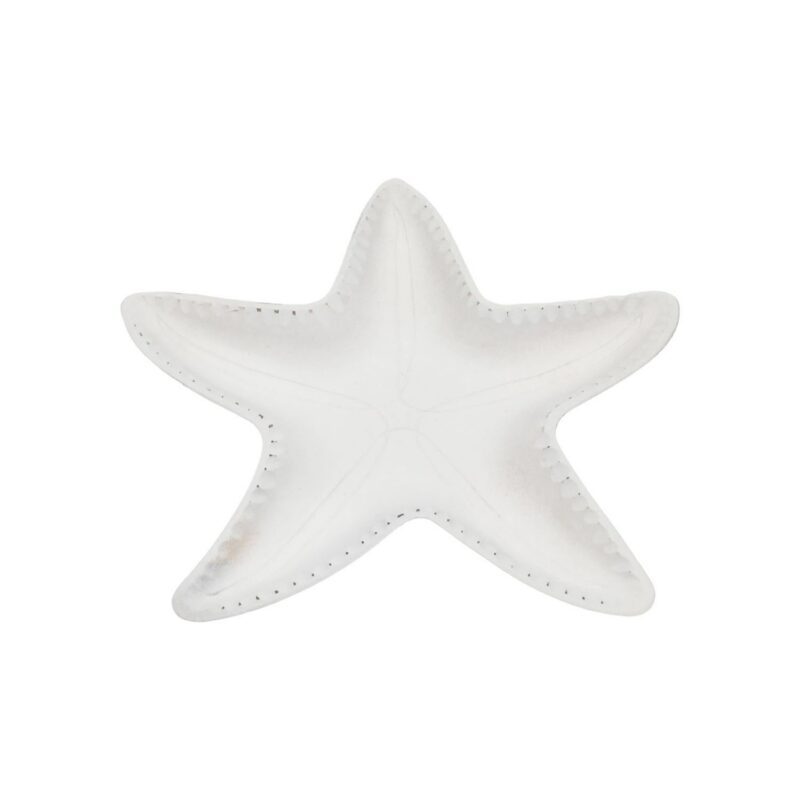 White Starfish Dish - Coastal (Summer) - lr.zacpzw.com
