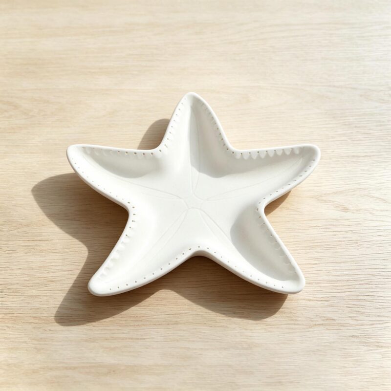 White Starfish Dish - Coastal (Summer) - lr.zacpzw.com