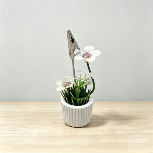 Garden & Outdoor
