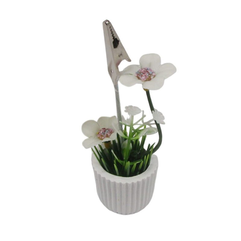 Tabletop Card Holder - Garden Décor - lr.zacpzw.com